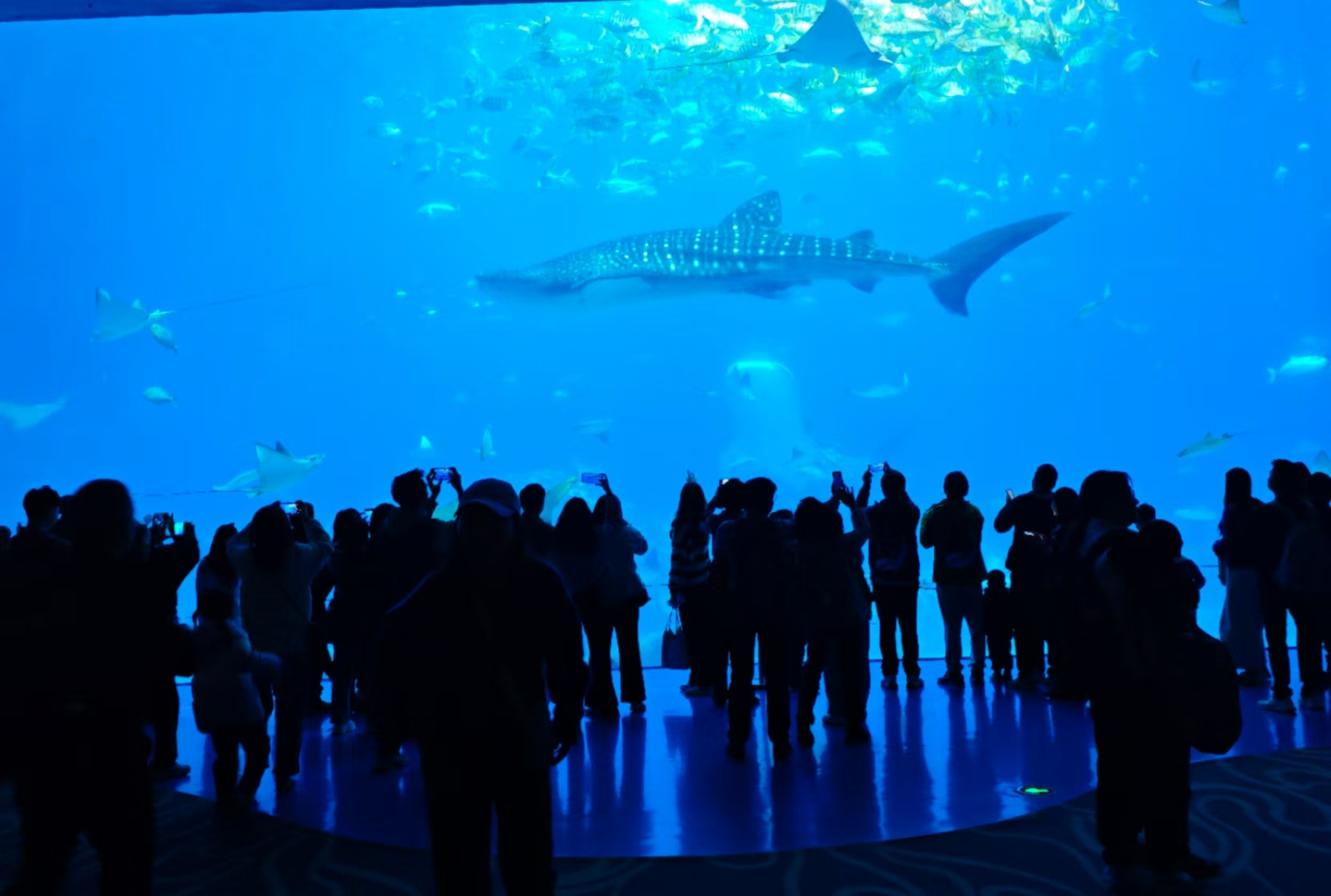 水族馆玻璃